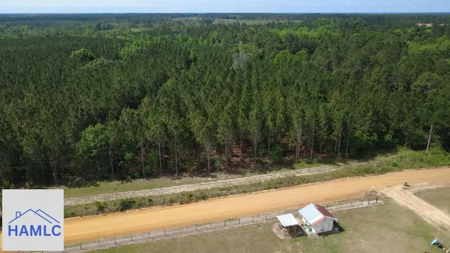 Tract 1 A L Reeve's Road, Fitzgerald, GA 31750 - #2