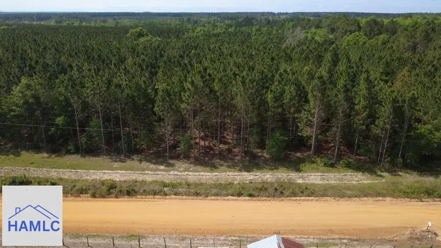 Tract 1 A L Reeve's Road, Fitzgerald, GA 31750 - #3