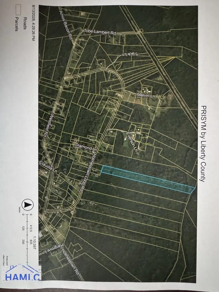 13.14 Ac Holmestown Loop Road, Midway, GA 31320 - #1