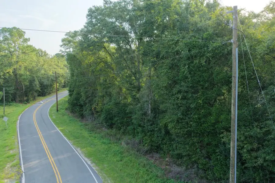 Tract 1 Brunswick Street, Jesup, GA 31546 - #3
