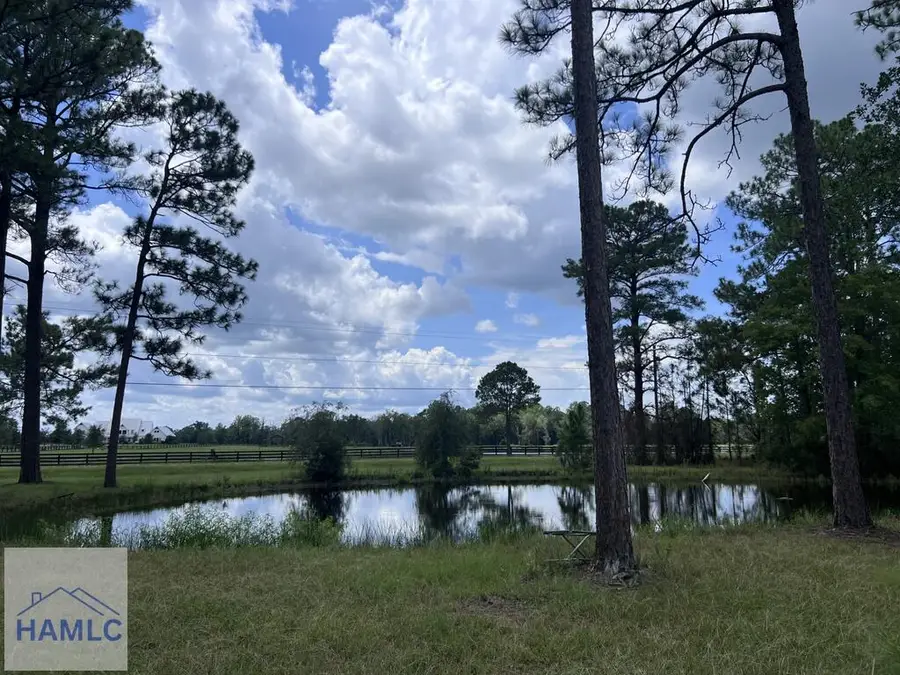 55 Fender Road, Jesup, GA 31546 - #3