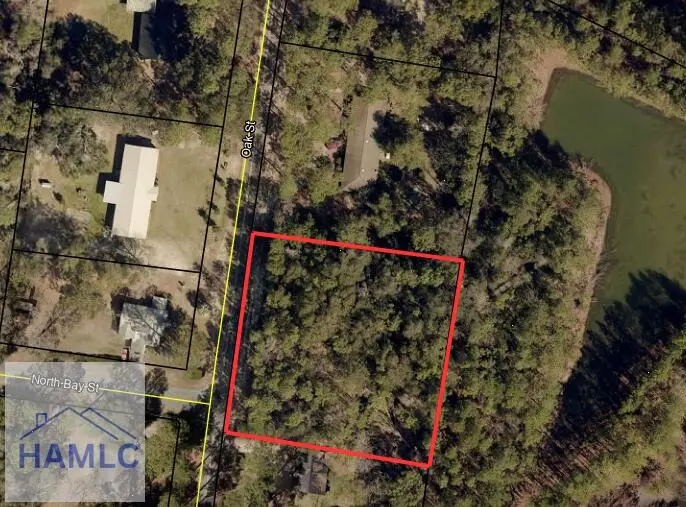1344 Oak Street, Jesup, GA 31545 - #1