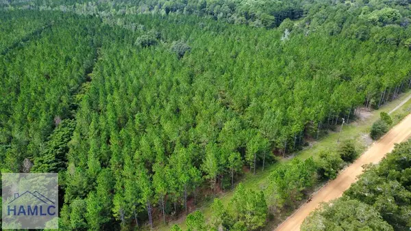 Tract 2 A L Reeve's Road, Fitzgerald, GA 31750