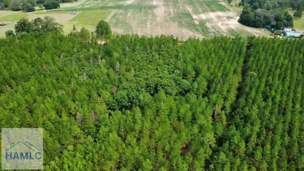 Tract 3 A L Reeve's Road, Fitzgerald, GA 31750