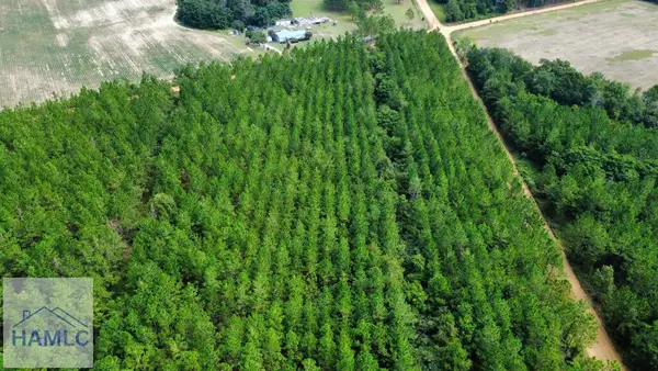 Tract 4 A L Reeve's Road, Fitzgerald, GA 31750