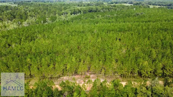 Tract 6 Sunflower Road, Fitzgerald, GA 31750