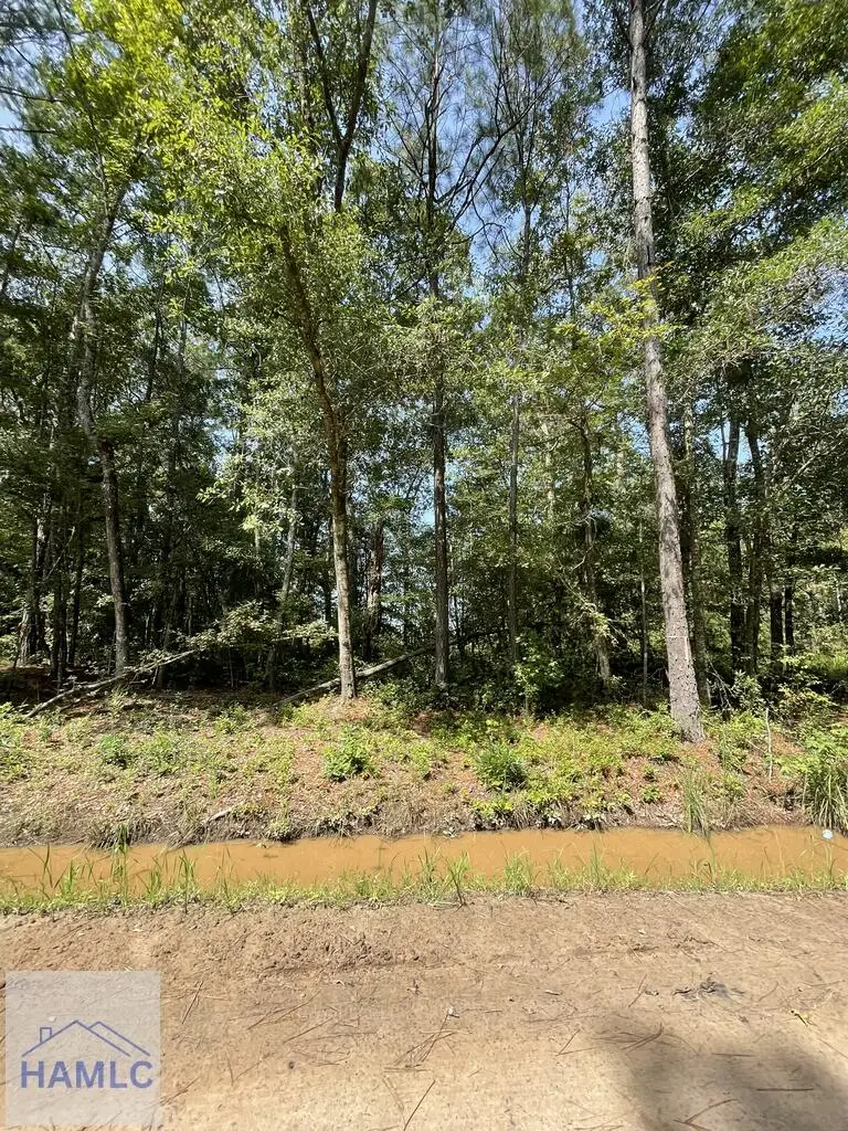 Lot 1 Luke Road, Midway, GA 31320 - #3