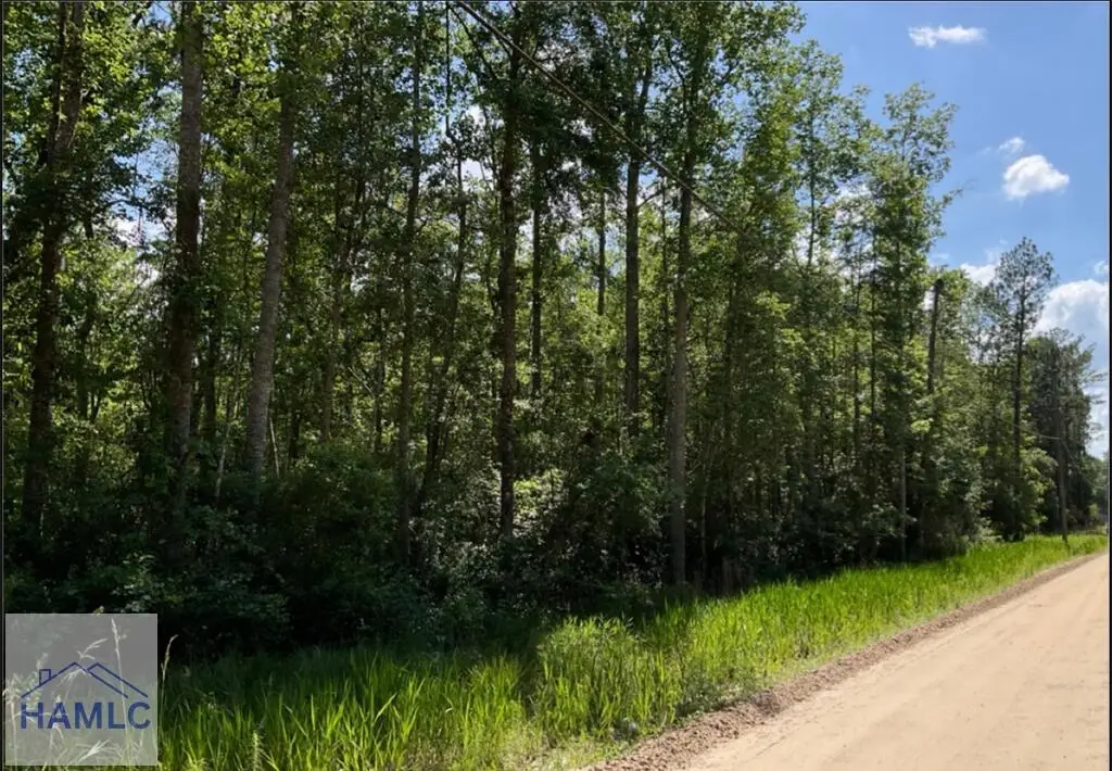 485 James Knight Road, Jesup, GA 31545 - #1