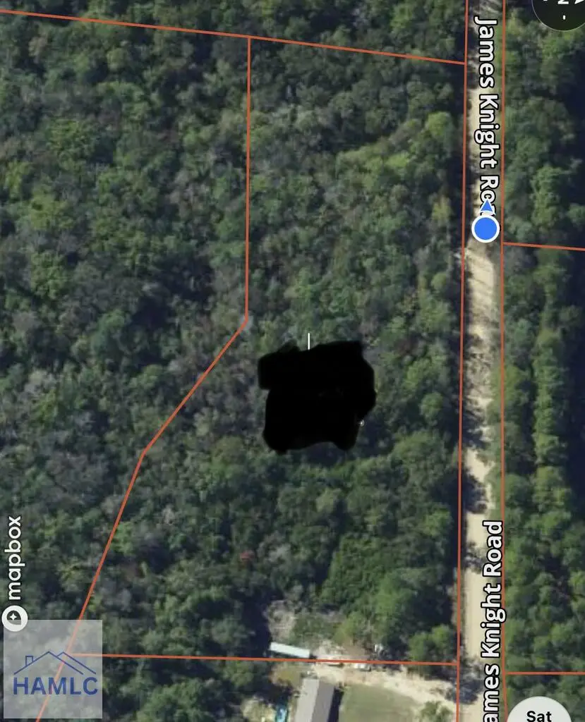 485 James Knight Road, Jesup, GA 31545 - #2