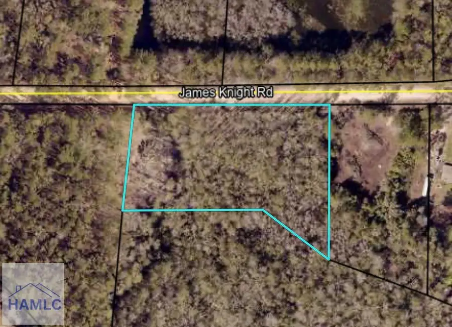 485 James Knight Road, Jesup, GA 31545 - #3