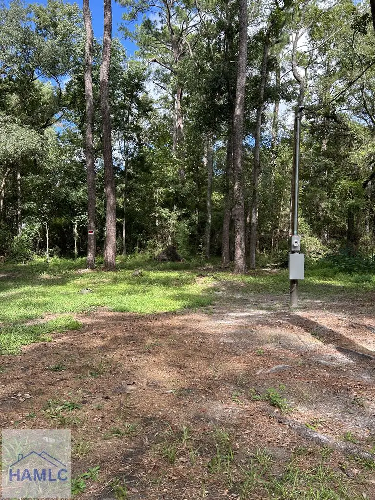 0 Wayside Turn, Midway, GA 31320 - #1
