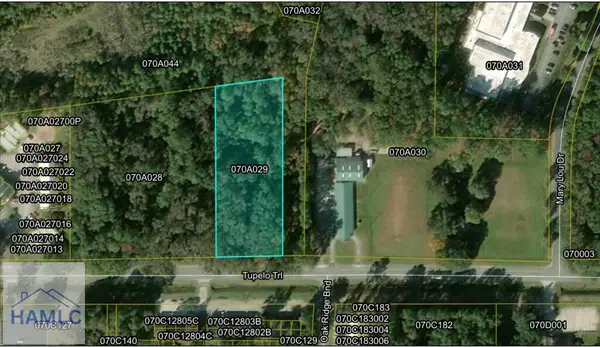 2 AC Tupelo Trail, Hinesville, GA 31313