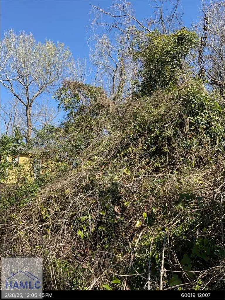 0 5th Street, Garden City, GA 31408 - #2