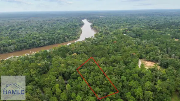 Lot 15 Moss Landing, Jesup, GA 31545