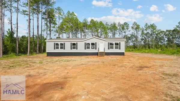 216 Little Dusty Trail, Hortense, GA 31543