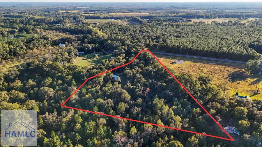 9550 Lanes Bridge Road, Jesup, GA 31545 - #2
