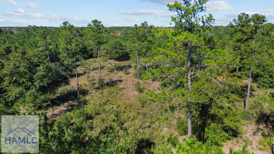 0 Calvary Road Ne, Ludowici, GA 31316 - #2