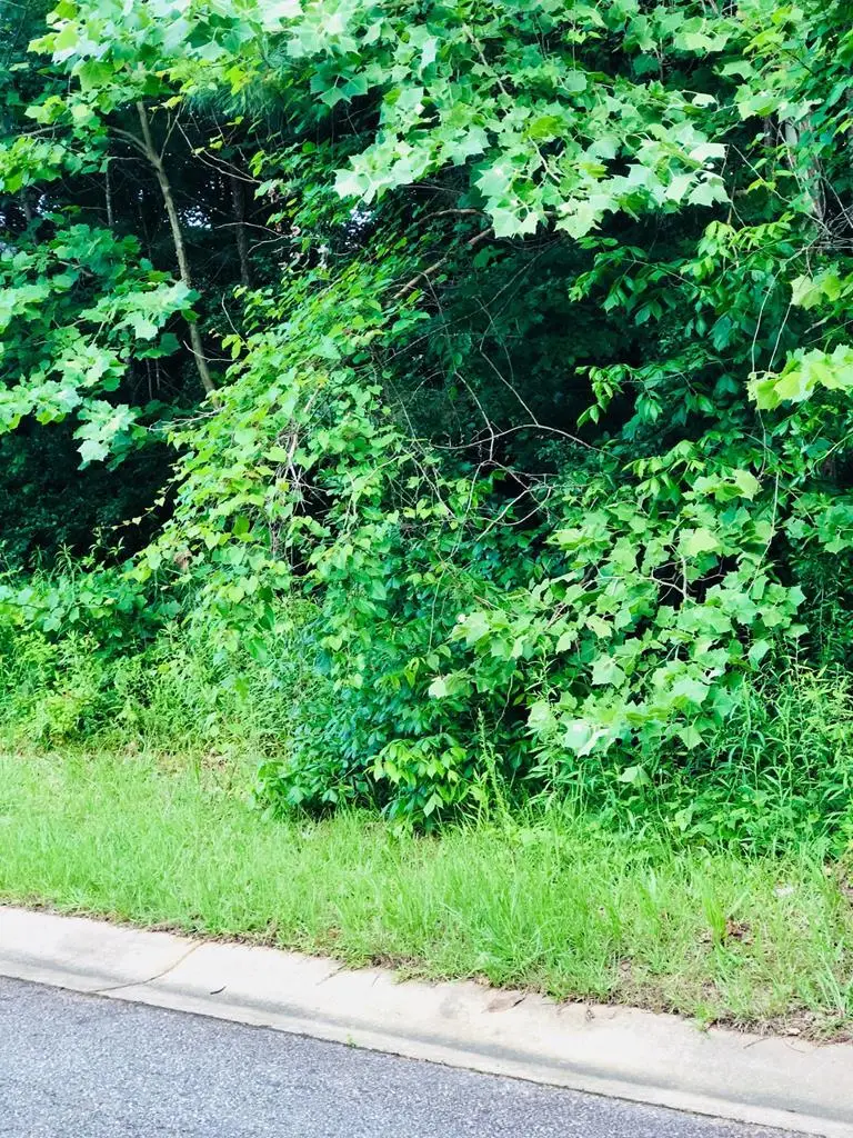 726 Waverly Point, Macon, GA 31210 - #1