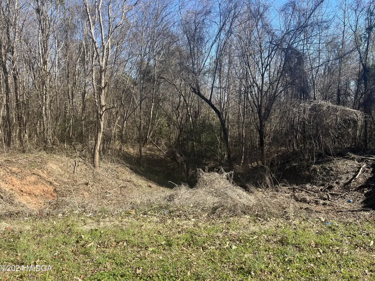 0 Riggins Mills Road, Jeffersonville, GA 31044 - #1