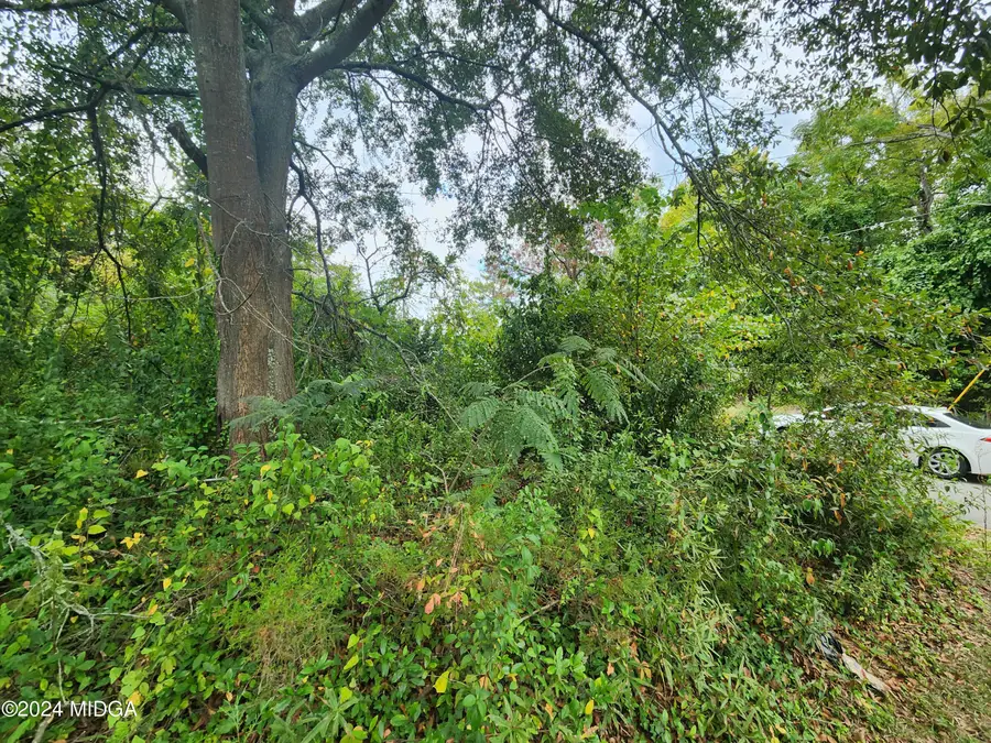 727 Smith Street, Macon, GA 31217 - #2