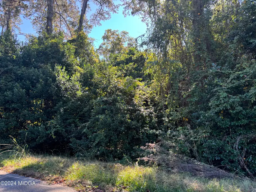 106 Ida Avenue, Warner Robins, GA 31088 - #2