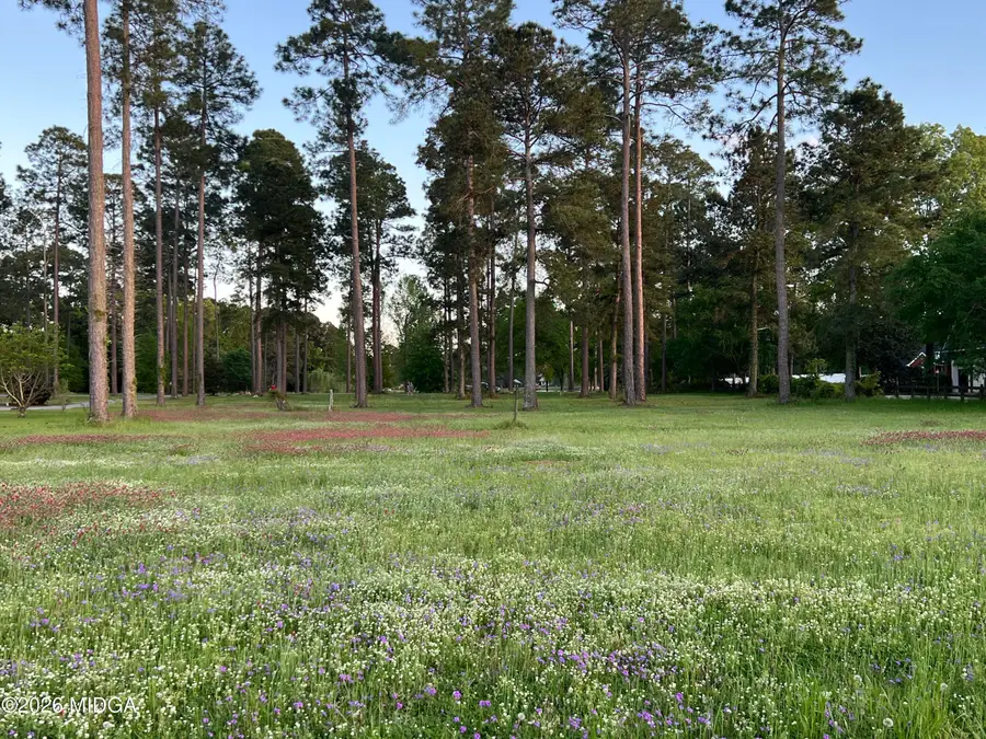 0 Cannon Branch, Cordele, GA 31015 - #3