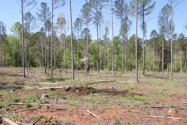 000 Hwy 87 Tract 3, Forsyth, GA 31029