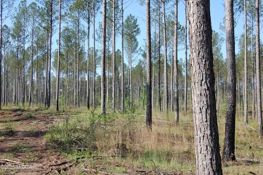 000 Hwy 87 Tract 3, Forsyth, GA 31029 - #2