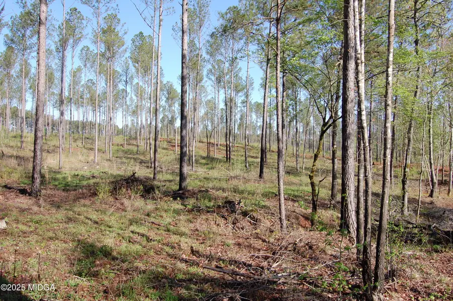 000 Hwy 87 Tract 3, Forsyth, GA 31029 - #3