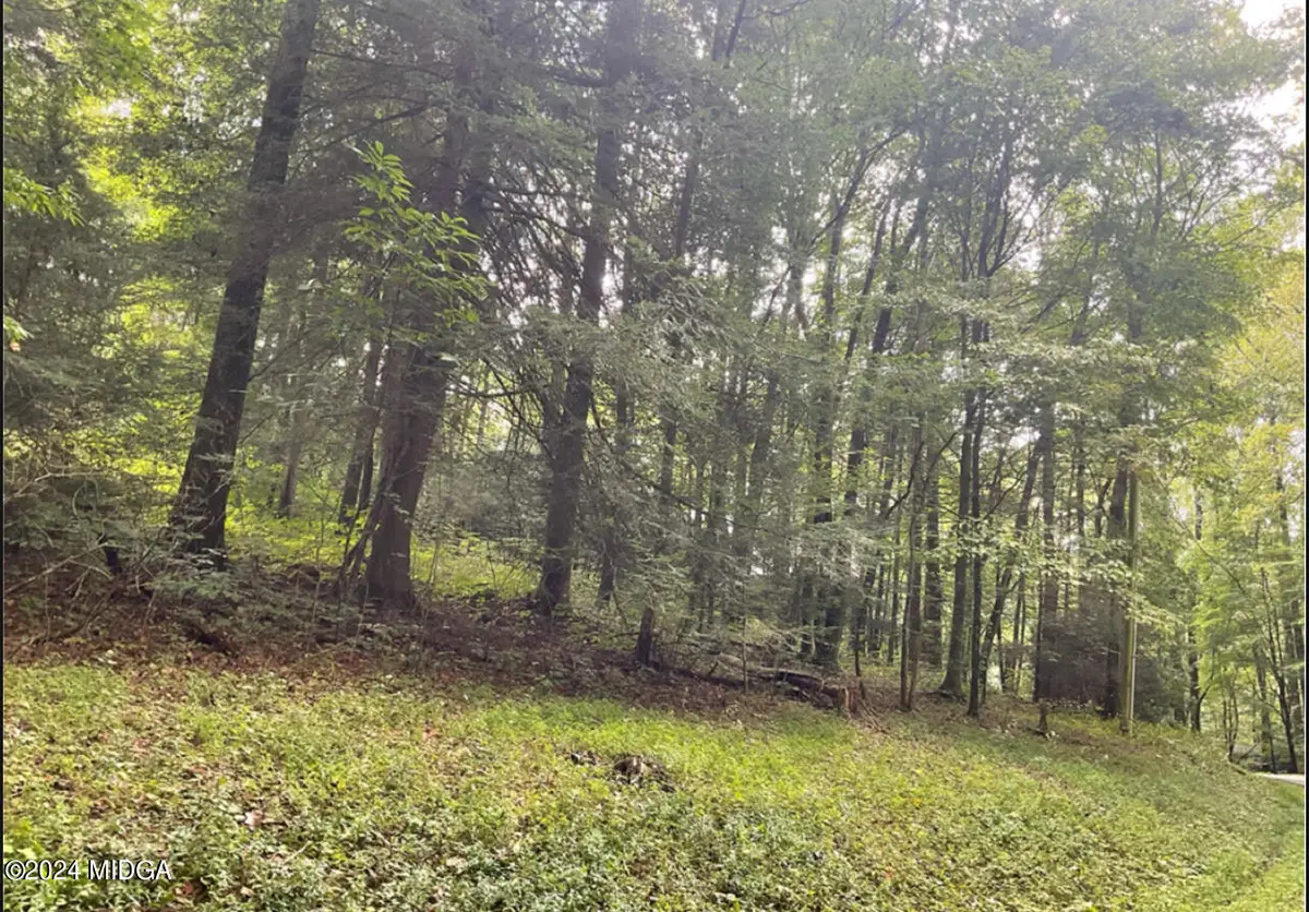 140 Chickasaw Drive, Ivey, GA 31031 - #1