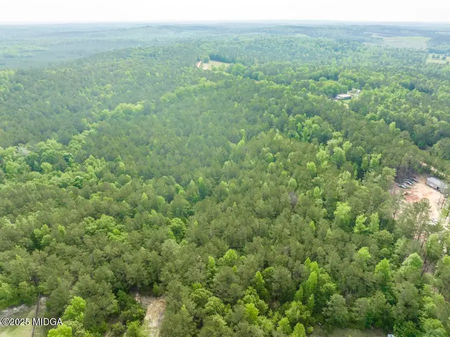 2140 Nesmith Road, Gordon, GA 31031 - #3