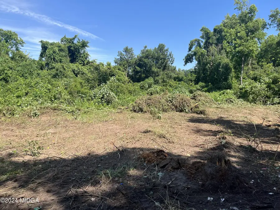 4506 Ebenezer Church Road, Macon, GA 31210 - #3