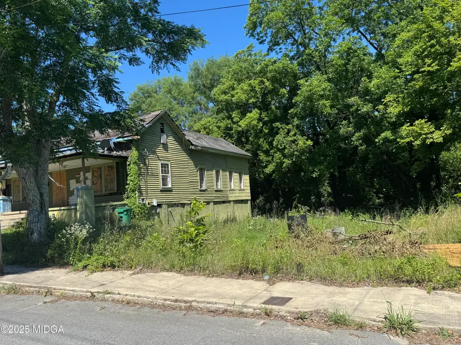 1425 3rd Street, Macon, GA 31201 - #3