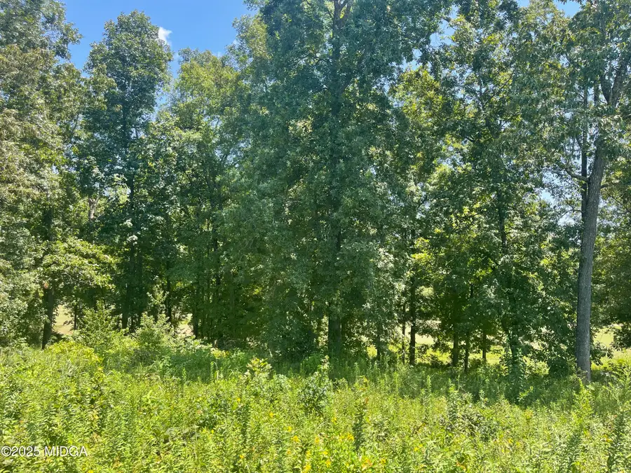 Lot 11 Oak Drive, Hawkinsville, GA 31036 - #2