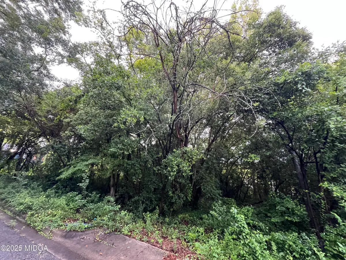 725 Schaeffer Place, Macon, GA 31217 - #1