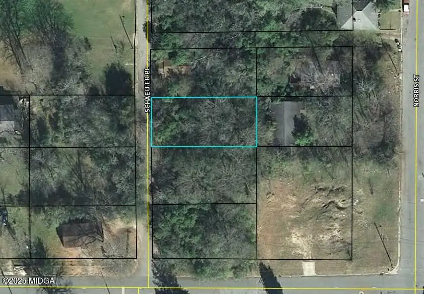 725 Schaeffer Place, Macon, GA 31217 - #2