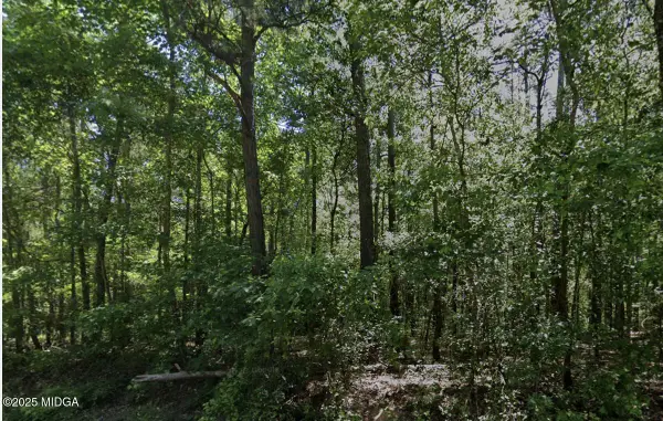 0 Howard Road, Roberta, GA 31078