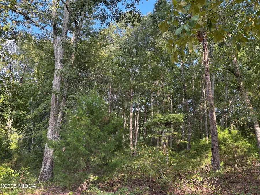 238 Hidden Lakes Drive, Gray, GA 31032 - #2