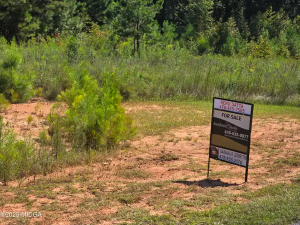 104 Peninsula Avenue, Macon, GA 31220