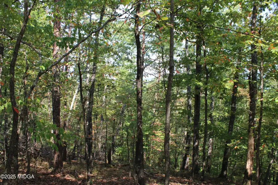 00 Conniston Road, Chatsworth, GA 30705 - #2