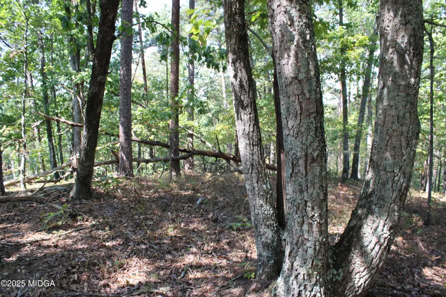 00 Conniston Road, Chatsworth, GA 30705 - #3