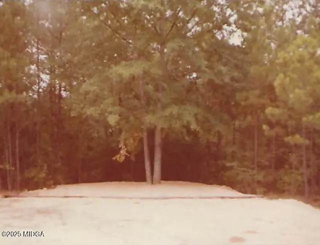 1949 Deerwood Place, Macon, GA 31211 - #3