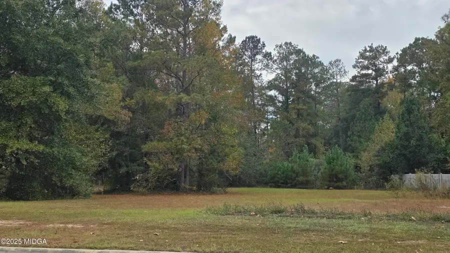 256 Falcon Crest, Warner Robins, GA 31088 - #3