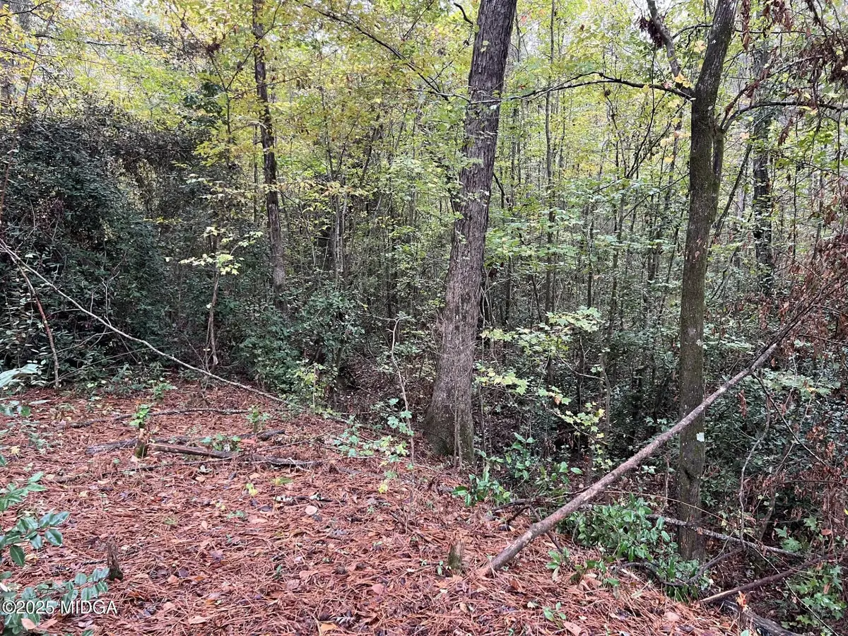 146 Lite N Tie Road, Gray, GA 31032 - #1