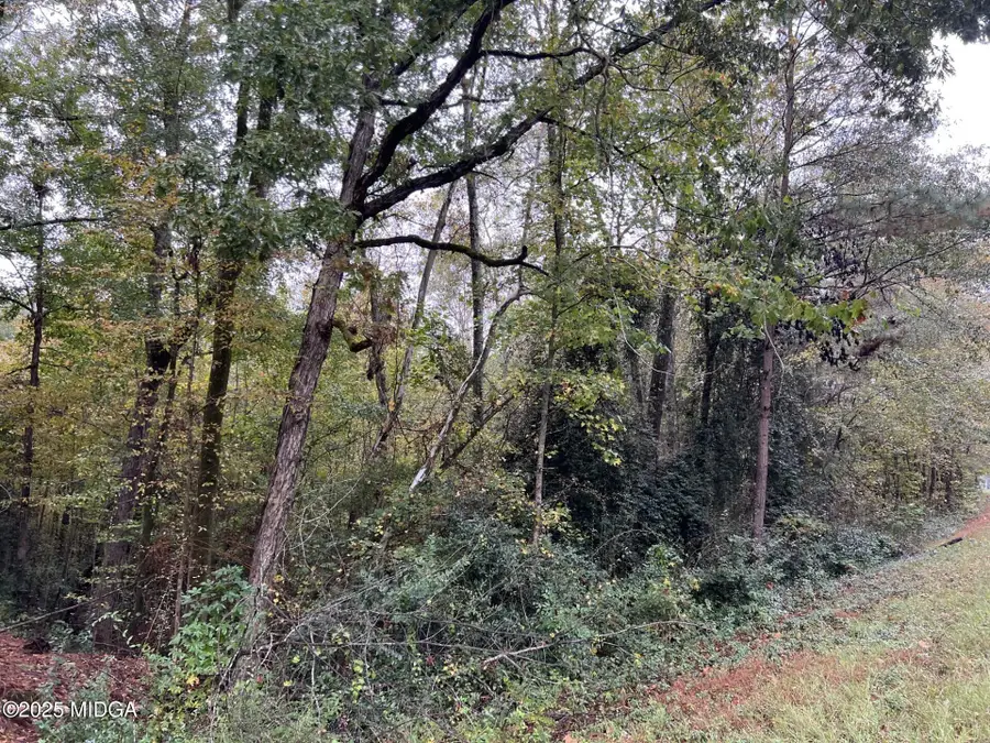 146 Lite N Tie Road, Gray, GA 31032 - #3