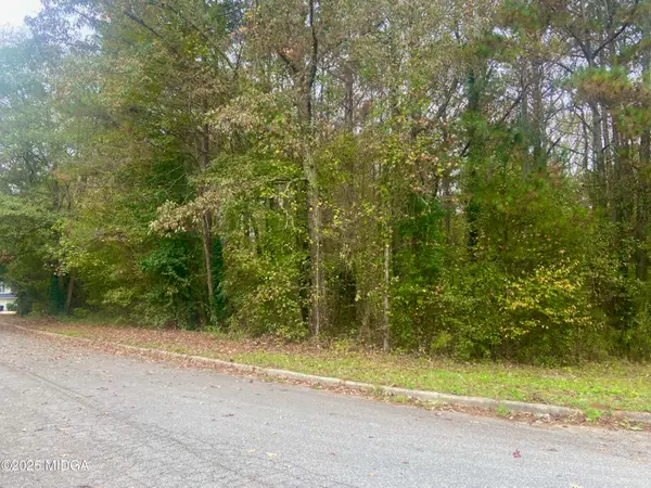 0 Chimney Smoke Drive, Stockbridge, GA 30281