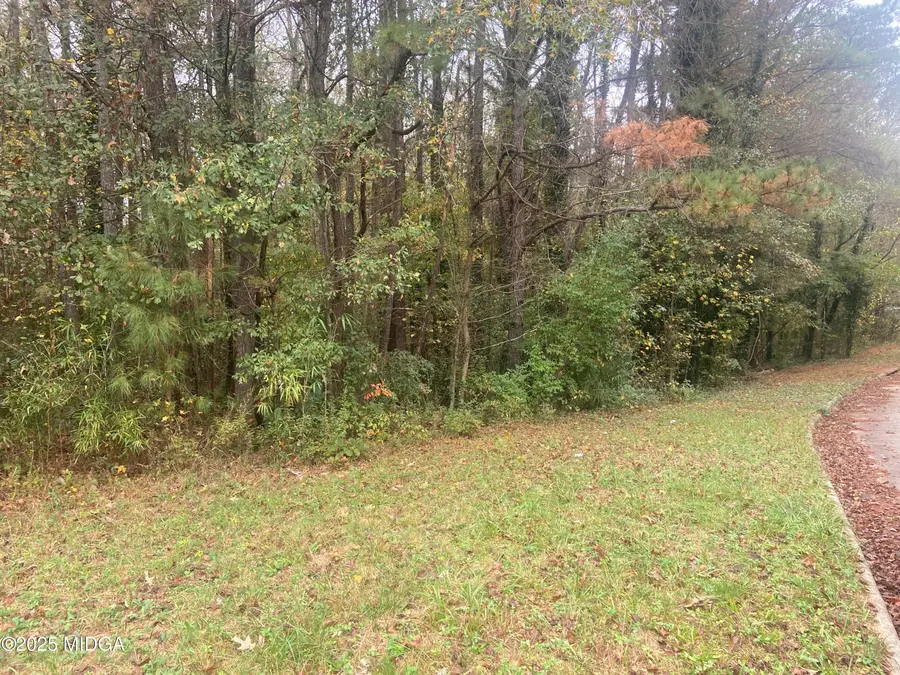 0 Chimney Smoke Drive, Stockbridge, GA 30281 - #3