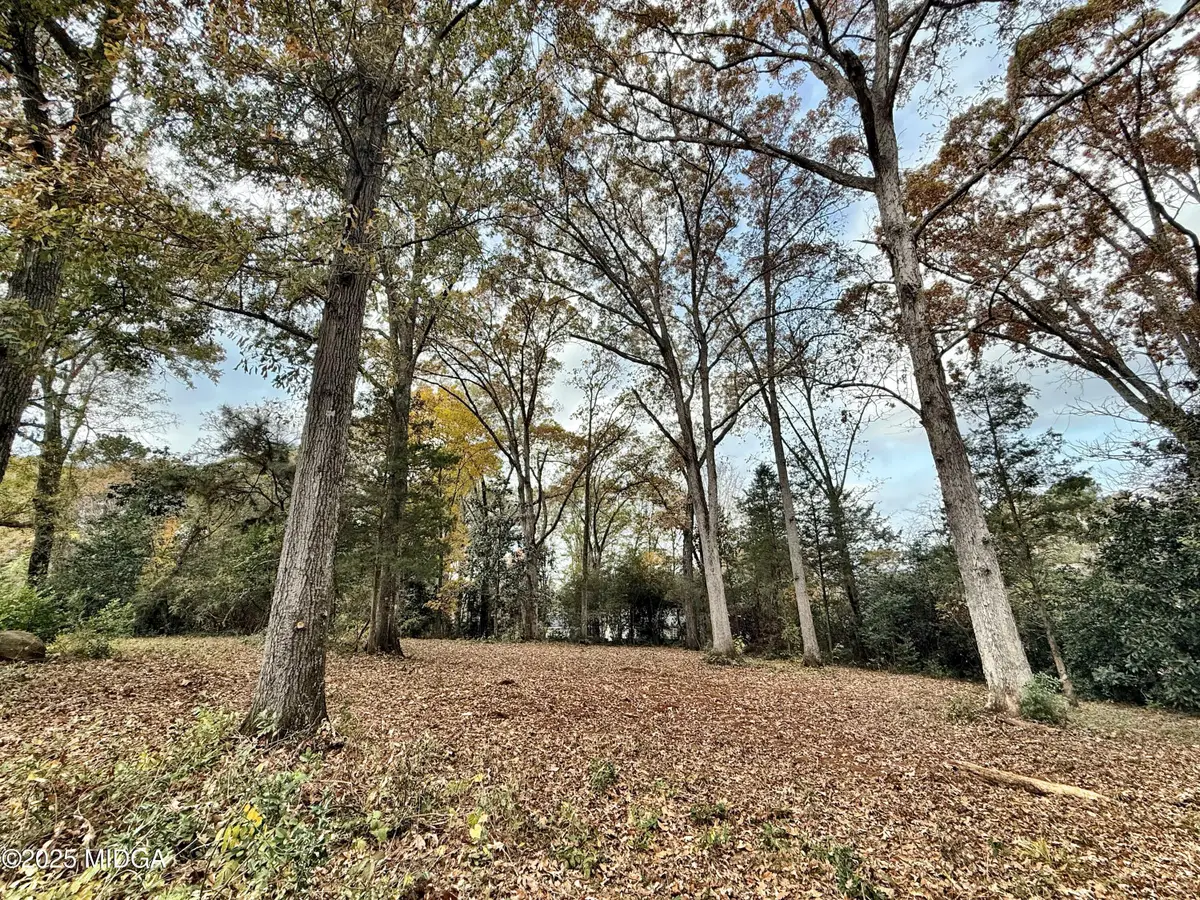 0 S S Lee St Street, Forsyth, GA 31029 - #1
