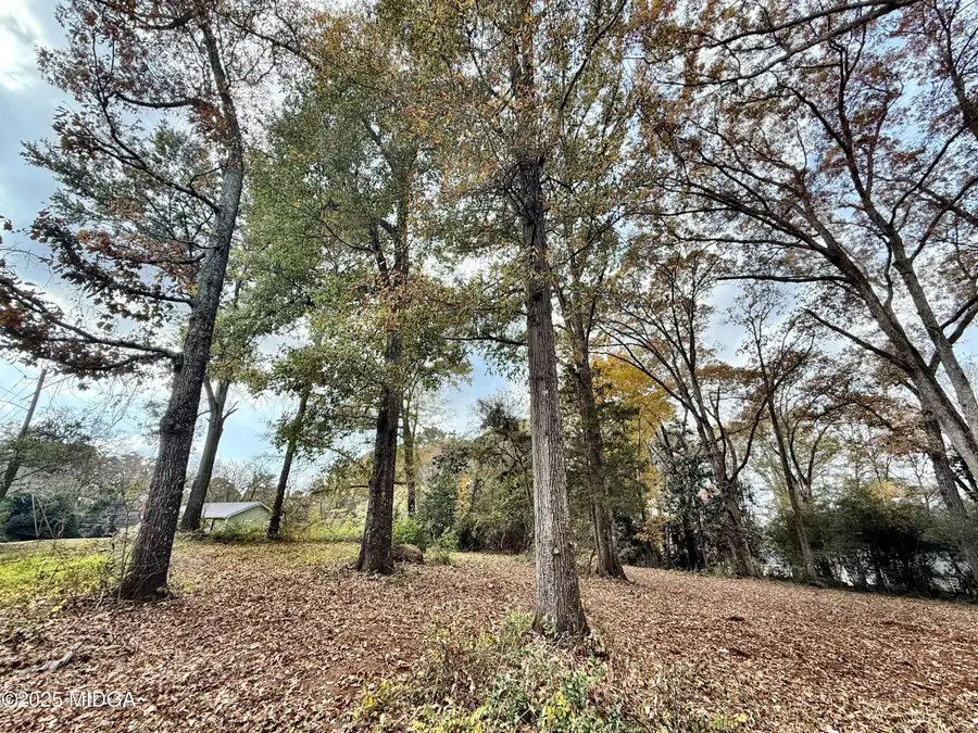 0 S S Lee St Street, Forsyth, GA 31029 - #2