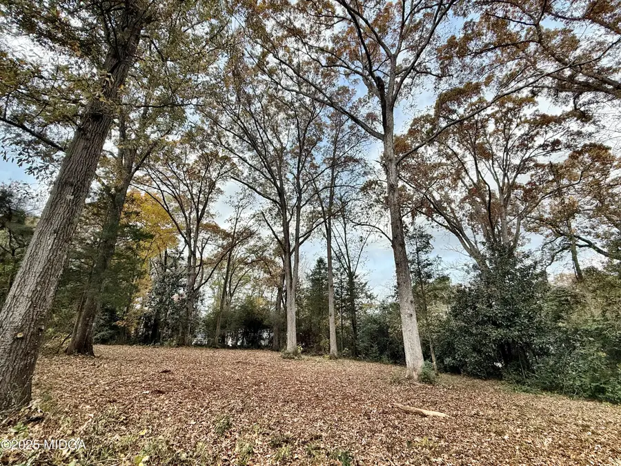 0 S S Lee St Street, Forsyth, GA 31029 - #3